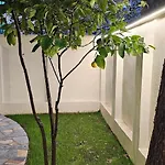 Apartment Olive Garden Blue Tirana