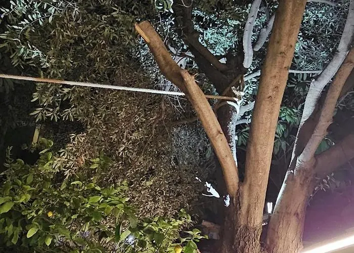 Olive Garden Blue Lägenhet Tirana