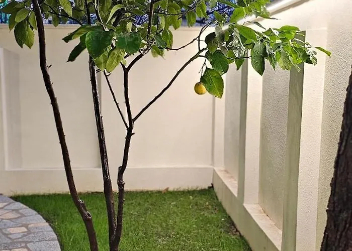 アパート Olive Garden Blue ティラナ